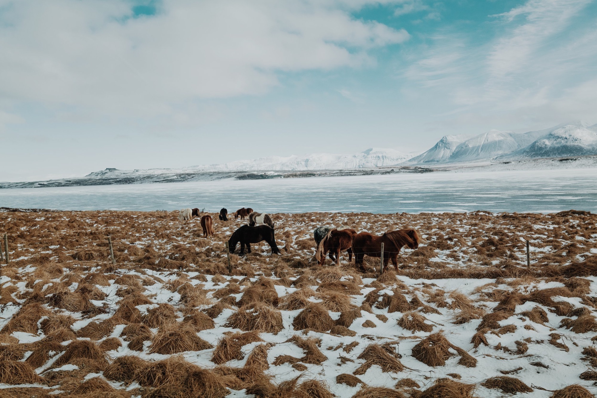 Vaterland, Iceland · 01